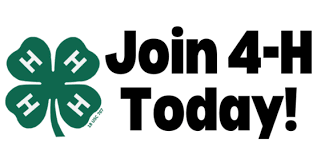 ISUEXTWestPott's tweet photo. 4-H - Sign Up By May 15!

Don't forget - May 15th is the last day to be enrolled in the West Pottawattamie 4-H program to be eligible to show at the 2022 Westfair!  Go to https://t.co/JB3u8khf3f to check the status of your enrollment! https://t.co/FAzpeT2s7H