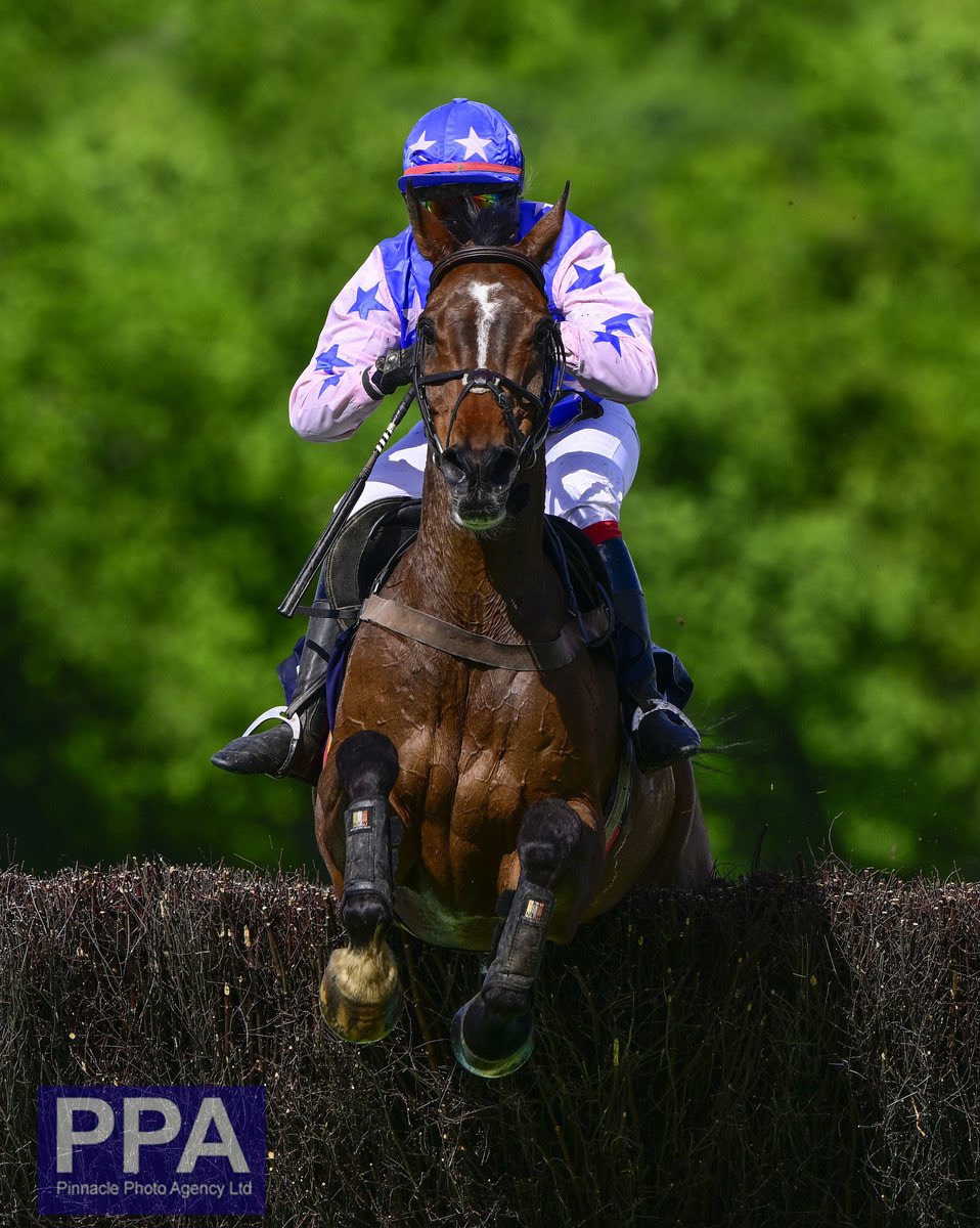 amajox's tweet photo. Congratulations @amajox @meganbevan3 #FirstWinner @NewtonAbbotRace #Wotzizname #DianeWard #HunterChase #topjock 👏👏👏 https://t.co/ZwbLARhE32