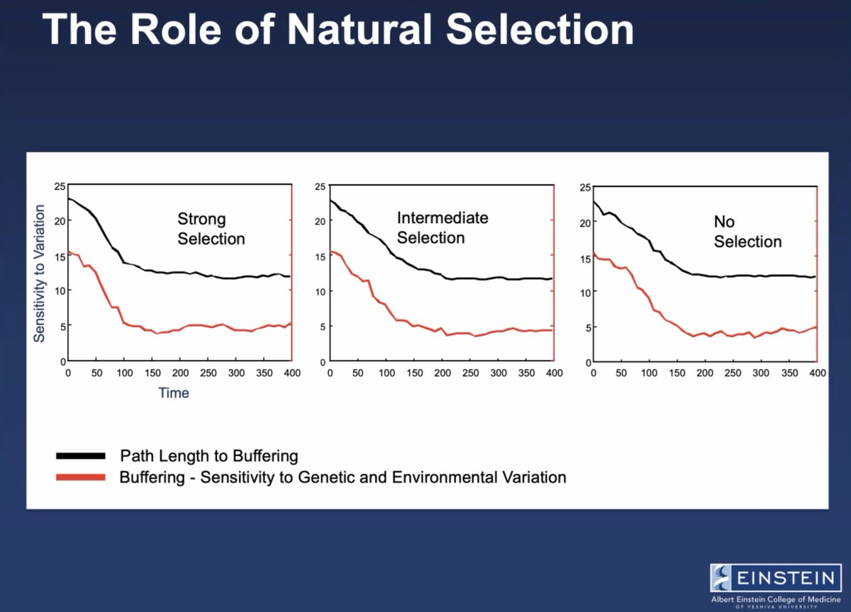 sfiscience's tweet photo. "When you have selection operating on [a phenotypic trait], there IS a decrease in sensitivity to genetic perturbation."

Aviv Bergman on running in-silico experiments about the causes and consequences of #robustness (aka #canalization, buffering). https://t.co/QUXovzcthL