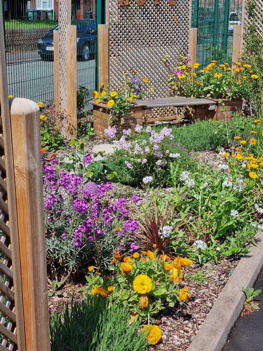 FletchHort's tweet photo. Lovely to get some update photos of this Garden of Hope at @YCA looking bright and beautiful in the sunshine. In its second year now, it’s full of lots of colour and scent, and being enjoyed by the local community! 🥰🤩🌸💚🌱 https://t.co/kwyIZBseCK