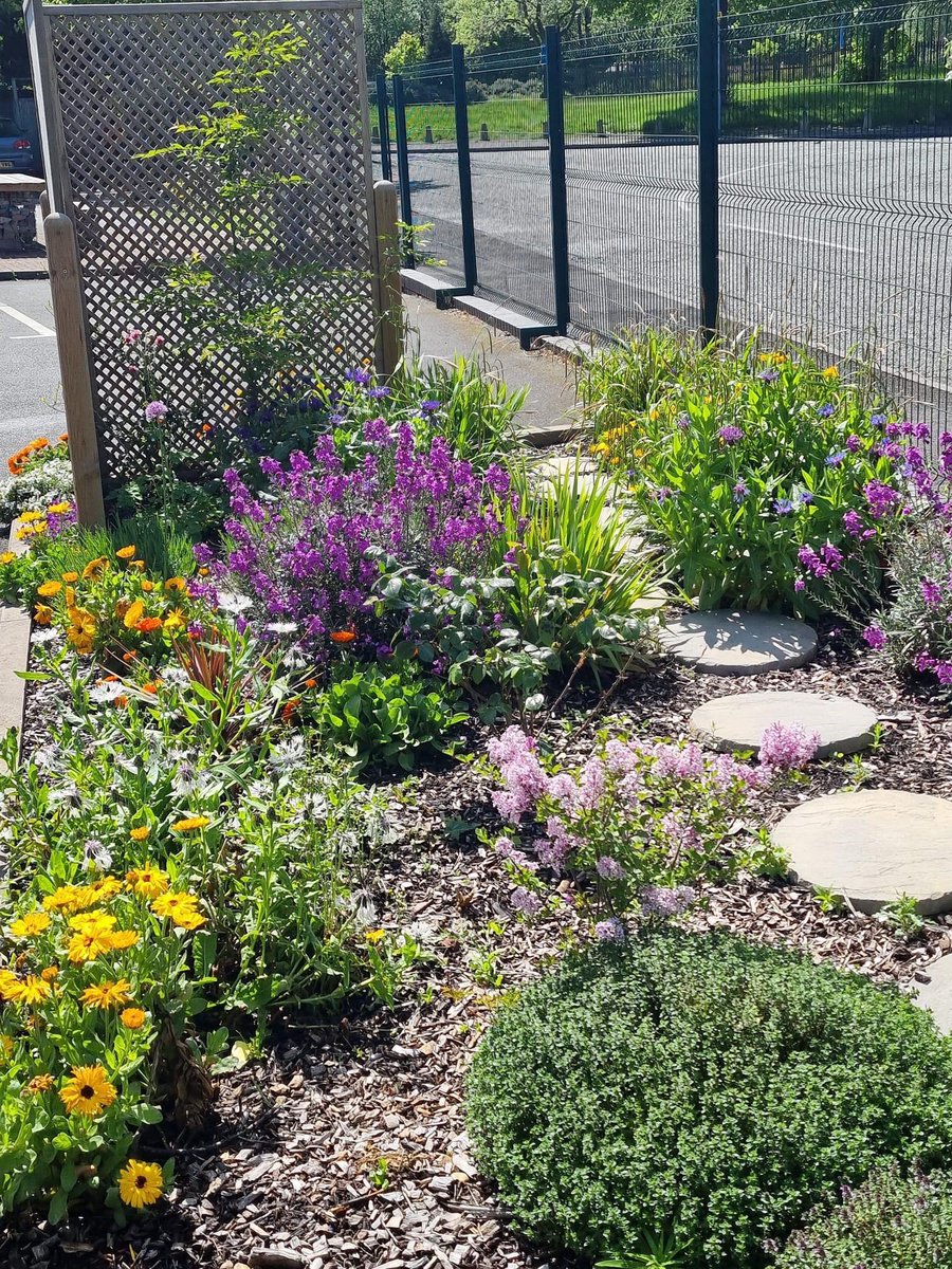 FletchHort's tweet photo. Lovely to get some update photos of this Garden of Hope at @YCA looking bright and beautiful in the sunshine. In its second year now, it’s full of lots of colour and scent, and being enjoyed by the local community! 🥰🤩🌸💚🌱 https://t.co/kwyIZBseCK