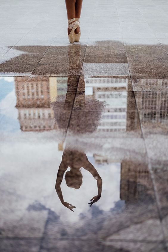 ClaireDavon's tweet photo. This is such an incredible picture with the water reflection! https://t.co/c268ZoRRV9 https://t.co/pDQLIFOI5C