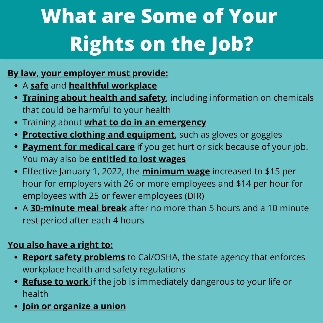 Young Workers tweet media