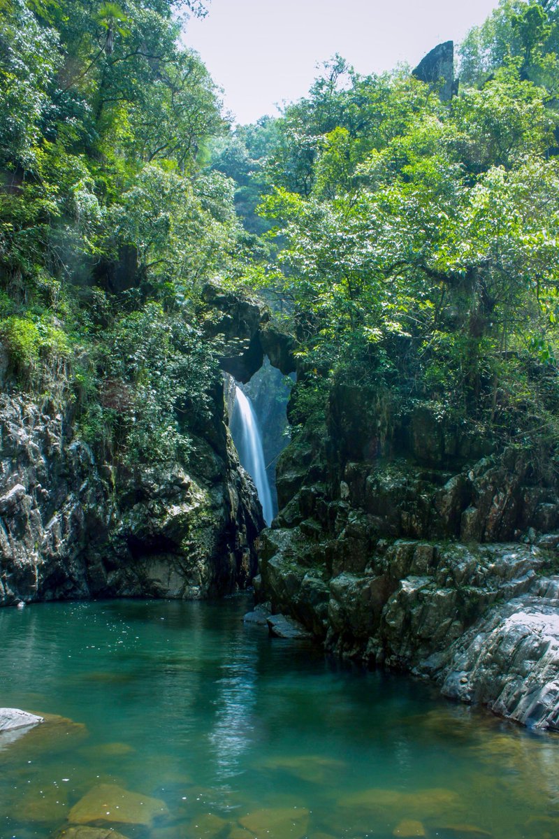 GTFmeghalaya's tweet photo. 📍#SWKHD😍 🌦Meghalaya- The Land of Waterfalls🌊. Blessed with lush green surroundings🌳

#Meghalaya #NortheastIndia 
#TheAbodeOfClouds #ScotlandOfTheEast 
#IncredibleNaturalBeauty 
#CheckInToNature 
#ExperienceMeghalaya 

🔺TheCopyrightAct1957 https://t.co/oQmp5b2vT7