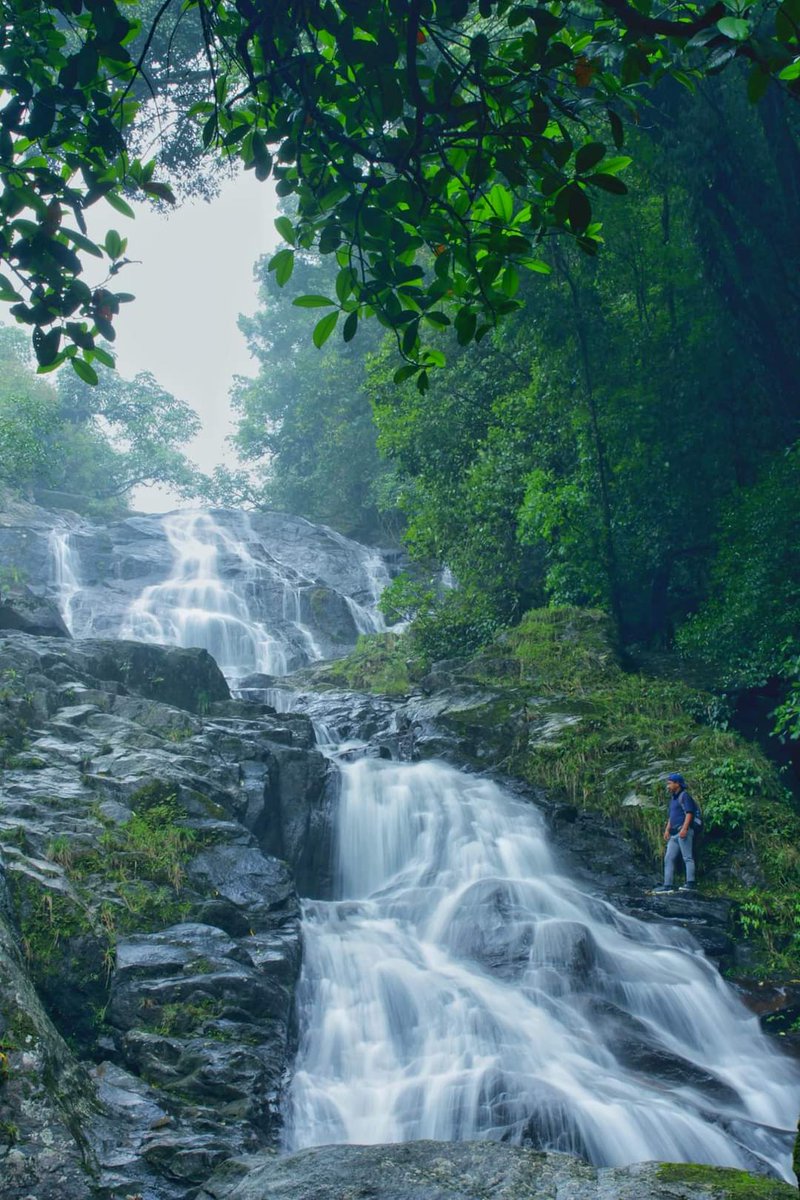 GTFmeghalaya's tweet photo. 📍#SWKHD😍 🌦Meghalaya- The Land of Waterfalls🌊. Blessed with lush green surroundings🌳

#Meghalaya #NortheastIndia 
#TheAbodeOfClouds #ScotlandOfTheEast 
#IncredibleNaturalBeauty 
#CheckInToNature 
#ExperienceMeghalaya 

🔺TheCopyrightAct1957 https://t.co/oQmp5b2vT7