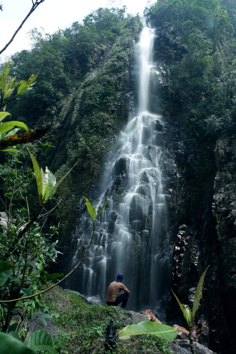 GTFmeghalaya's tweet photo. 📍#SWKHD😍 🌦Meghalaya- The Land of Waterfalls🌊. Blessed with lush green surroundings🌳

#Meghalaya #NortheastIndia 
#TheAbodeOfClouds #ScotlandOfTheEast 
#IncredibleNaturalBeauty 
#CheckInToNature 
#ExperienceMeghalaya 

🔺TheCopyrightAct1957 https://t.co/oQmp5b2vT7