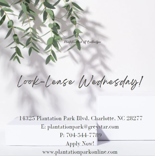 PlantationPark's tweet photo. Look-Lease Wednesday! *Limited Availability* - https://t.co/6OZttfGPHl https://t.co/vhLd09V8fq