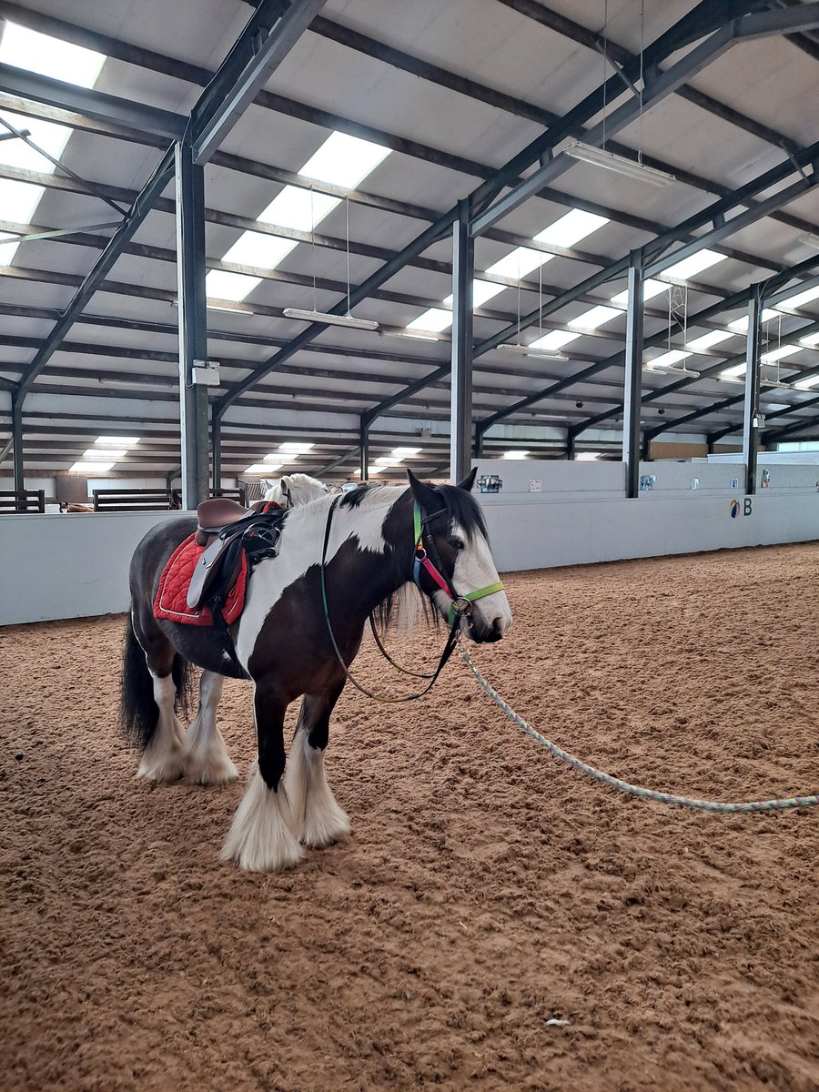 Michell61929205's tweet photo. Handsome Jayboy #Ridingfordisabled https://t.co/9dK5PeRdJF