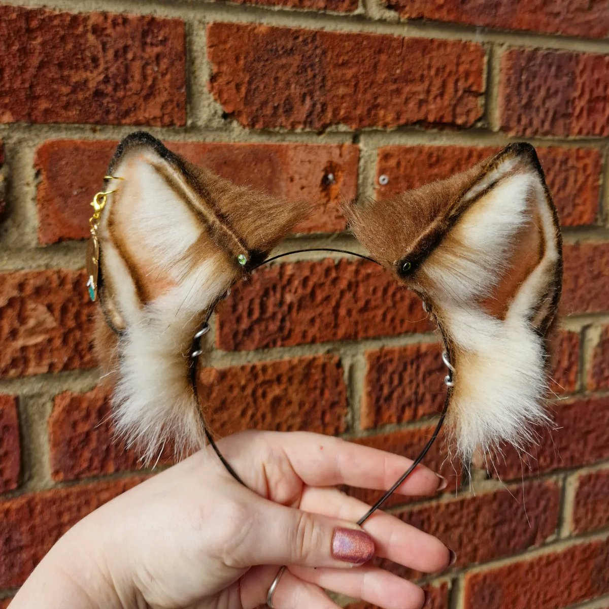 Little brown wolf  🐺