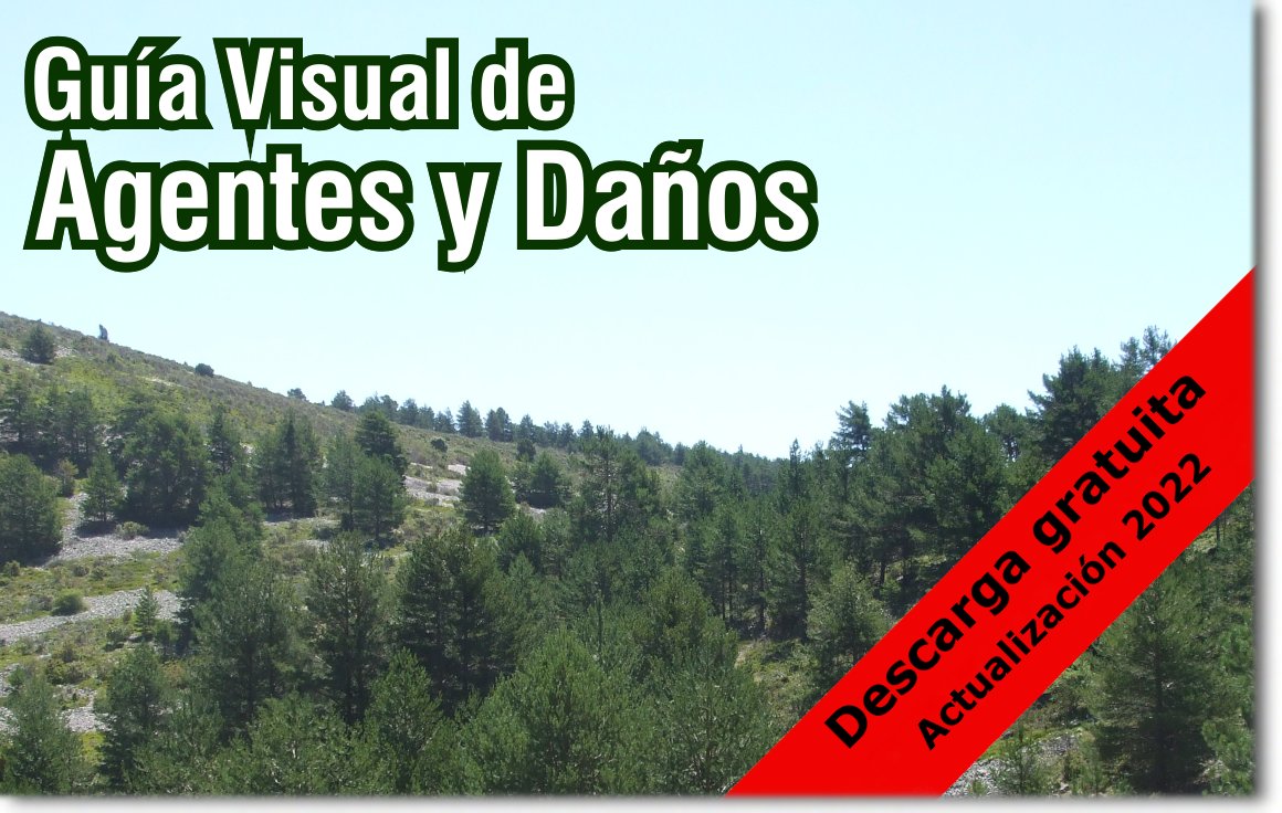 El Día Internacional de la #SanidadVegetal visibiliza las medidas de control y prevención de enfermedades y plagas en las plantas. 🌳🐛
Descarga la GUÍA VISUAL DE AGENTES Y DAÑOS DETECTADOS POR EL EQUIPO TÉCNICO DE <a href="/esmasl_es/">ESMA</a> EN LOS BOSQUES DE ESPAÑA
✅ 2022
✅GRATUITA en la Web