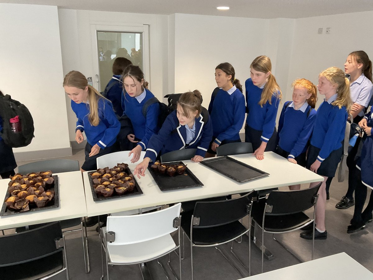 Year8_Tormead tweet media