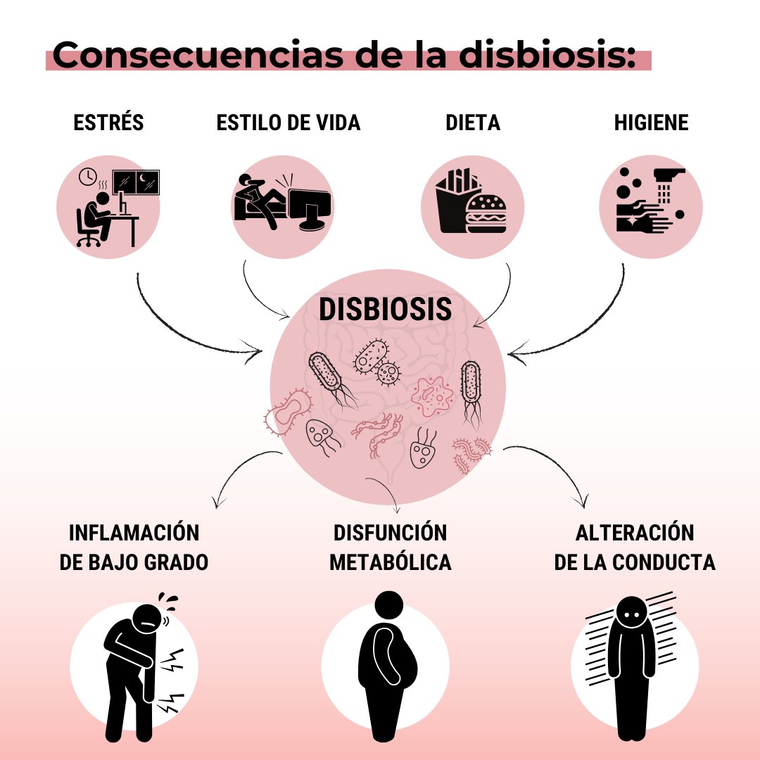 CarlosRegenera's tweet photo. Además de por un descenso en la diversidad de la microbiota, una disbiosis también se caracteriza por la proliferación de microorganismos perjudiciales😈 o por su presencia en lugares que no corresponden, como sucede en el caso del SIBO.

https://t.co/WzsvGwdInH https://t.co/mbyyLxvBqe