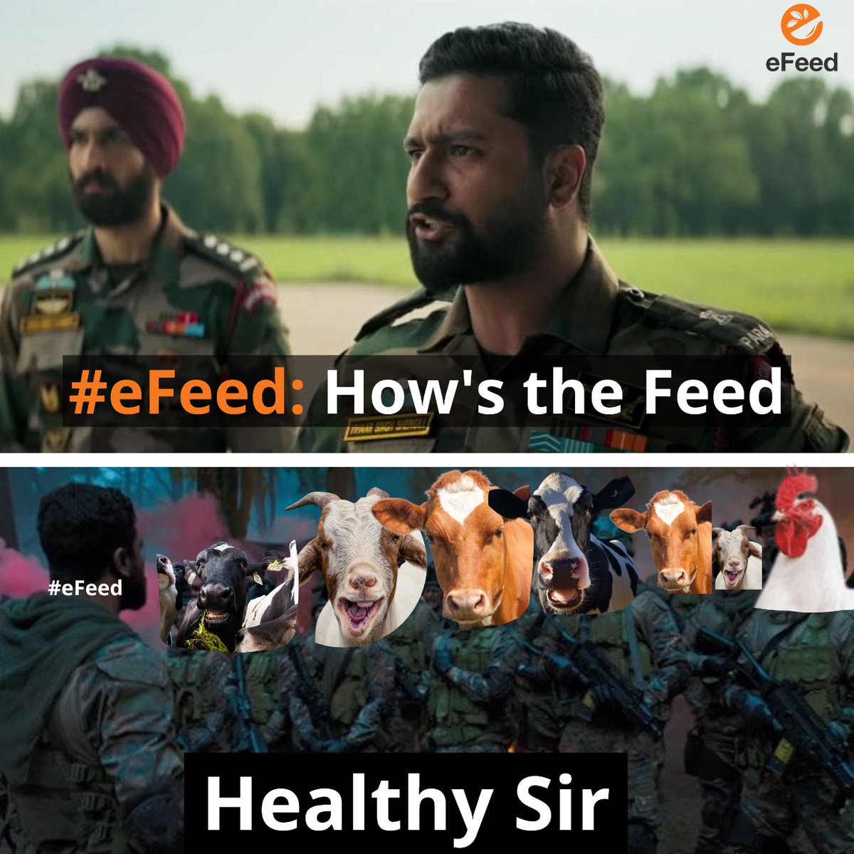 MobileRanjan's tweet photo. These kinds of things make my work interesting! @yourfeedbuddy
Building future of animal nutrition.
#eFeed https://t.co/kaz7tPjVb7