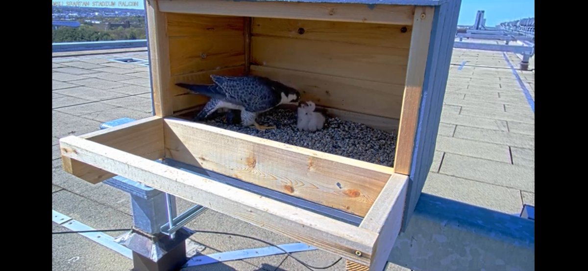 Kelly Kapsar tweet media