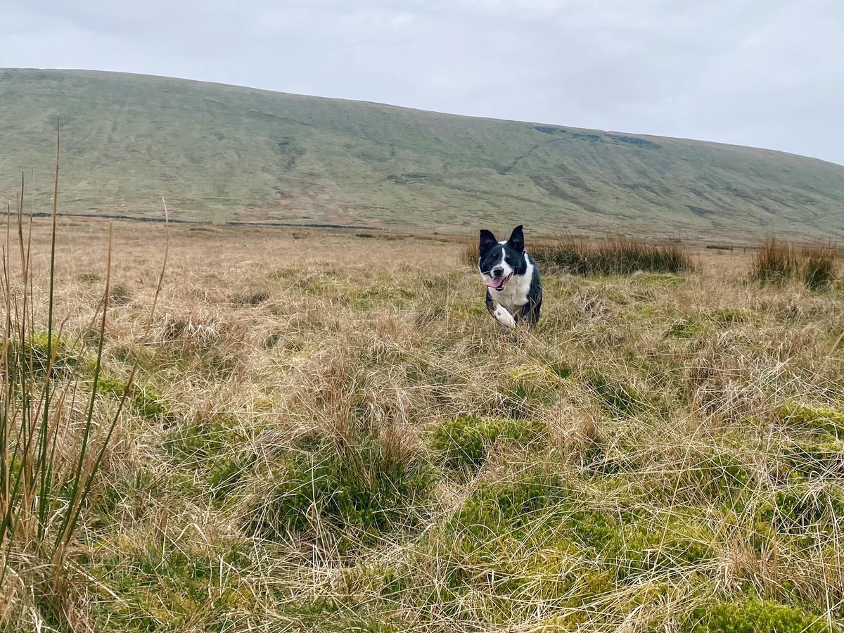 *Pls RT* 

Are you a young farmer under 30 and would like to share your story and opinions on industry issues? 

I’m after individuals to feature in <a href="/FarmersGuardian/">Farmers Guardian</a>
Young Farmer Focus for June, July and August editions. 

DMs open / hannah.binns@agriconnect.com