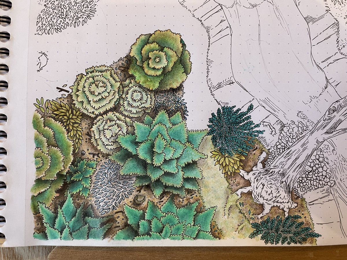 scales_with_dex's tweet image. Progressing towards the riverbank…

#worldbuilding #cartography #fantasymapmaking #maps #handdrawnmaps #dndmaps #battlemap #DnD #dnd5e #ttrpg #scaleswithdex