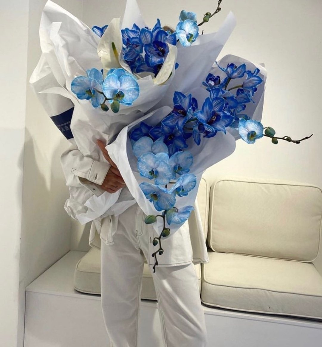 _annnsophie's tweet photo. blue flowers <3 https://t.co/qmnvojSD0U