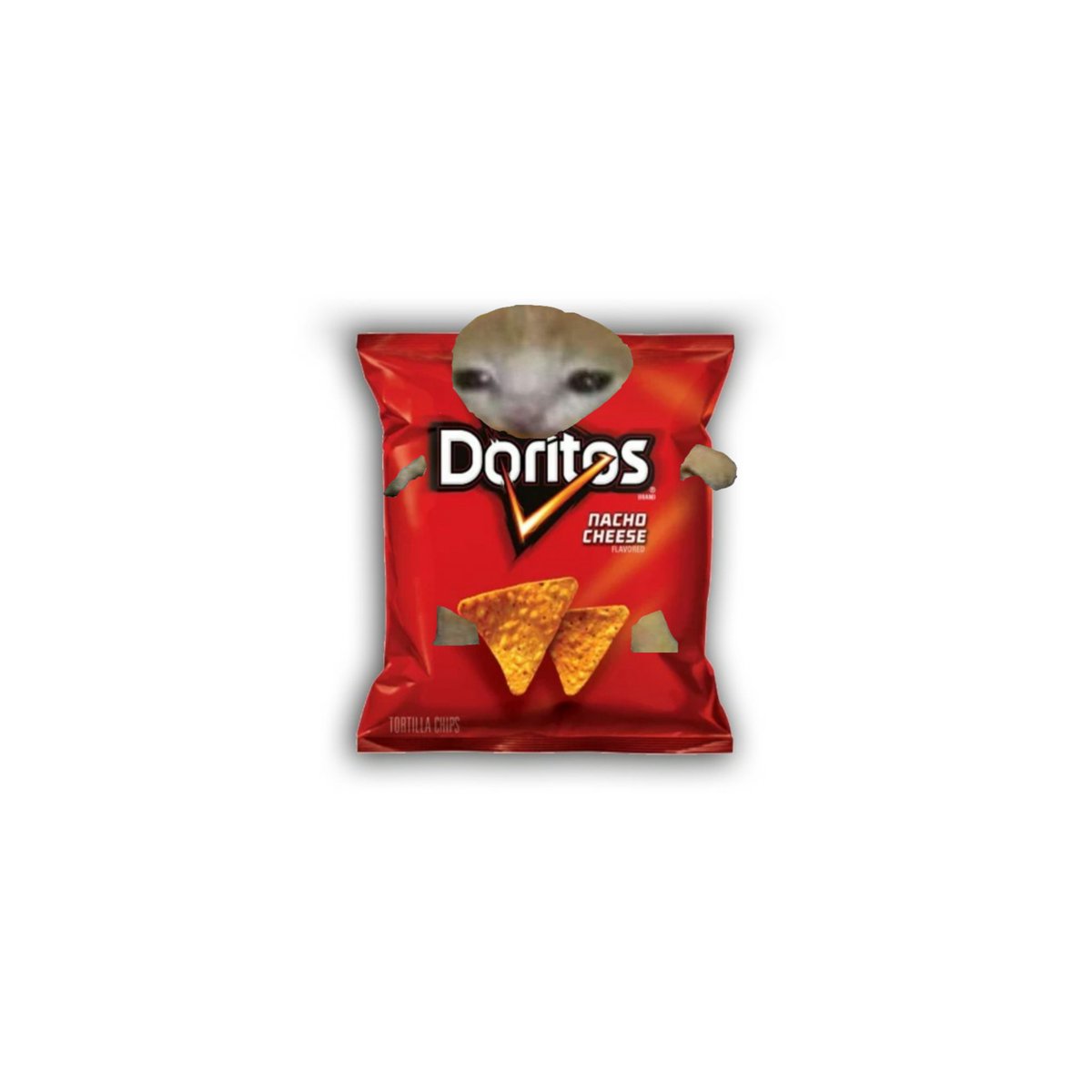 cattoeverywhere's tweet photo. Doritos-Catto https://t.co/6T4xUdbXHB
