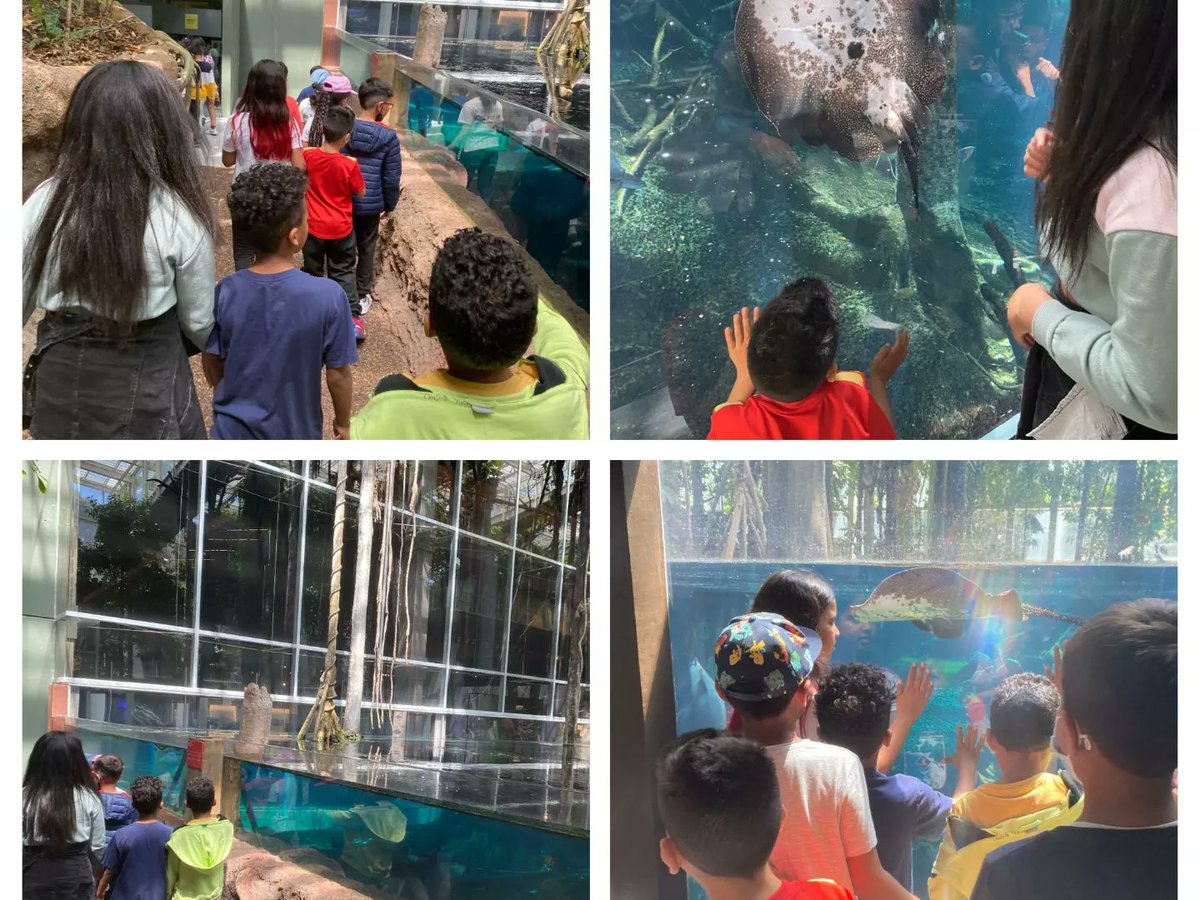 lliscart's tweet photo. 📌Ahir vamgaudir tant al @CosmoCaixa que avui us volem compartir més moments.
#ieperelliscart #comunitatgrans #curs2021i22 https://t.co/1v4L7ML6ic
