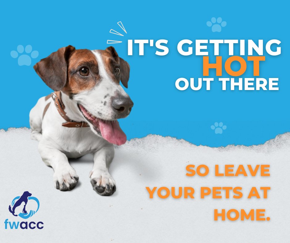 That's how the song goes, right?