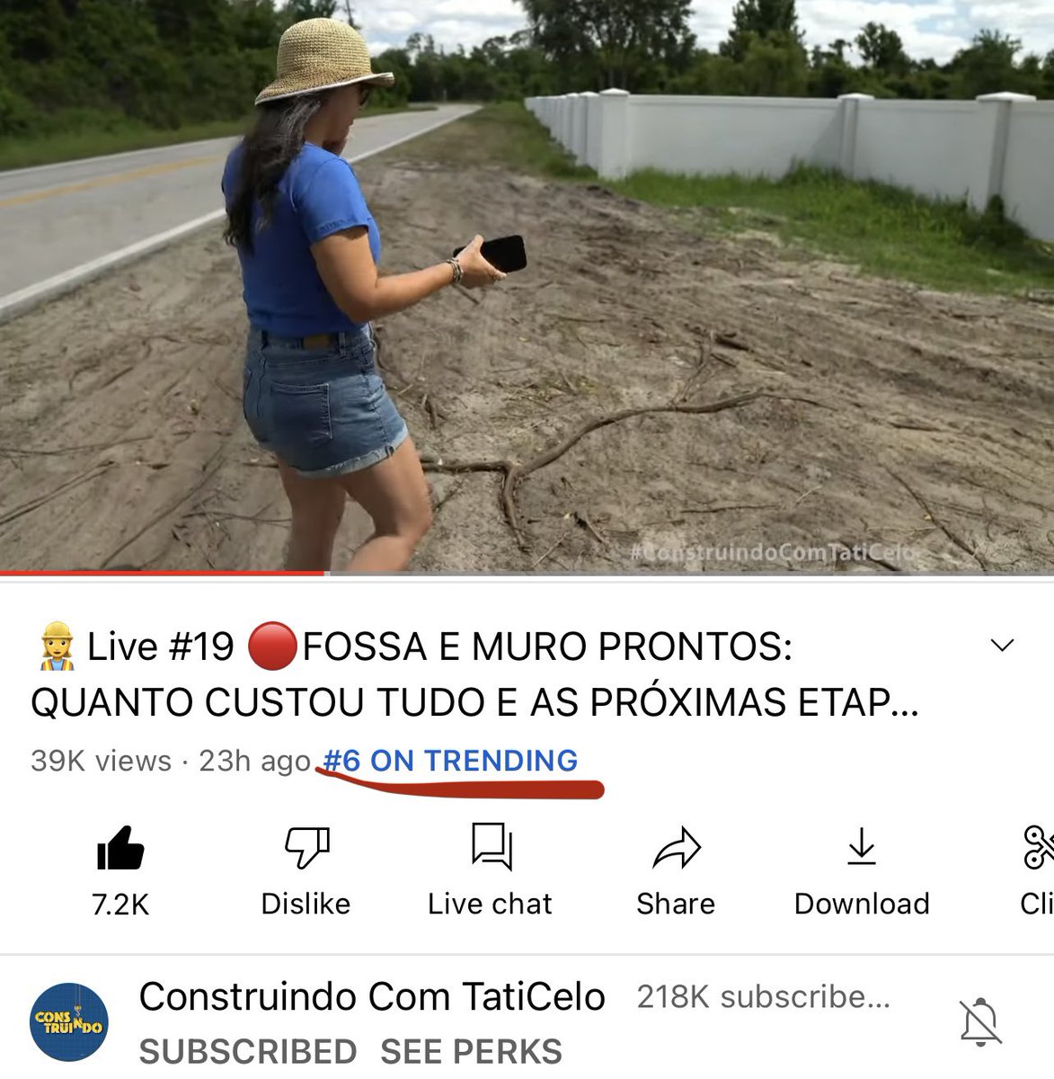 WebTVBrasileira 👊🏼 tweet media