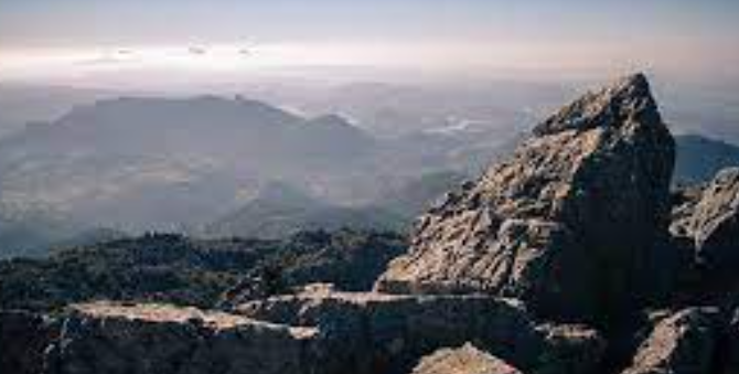 JardinesLago's tweet photo. El Torreón.
📍Lugar: Sierra de Grazalema.
📈Dificultad: alta.
⌛️Duración: 1h.
Distancia: 3km.
Curiosidad: Durante el ascenso es posible conocer formaciones geológicas características de terrenos calizos. Se pueden ver aves rapaces y con suerte cabras montesas. https://t.co/1jTC65nUOA