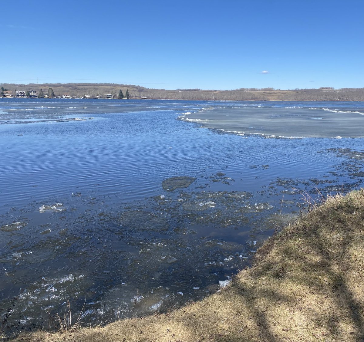 LittleDenene's tweet photo. Getting closer every day #springmelt #byebyeice #summerinsaskatchewan https://t.co/FYu8nQldmQ