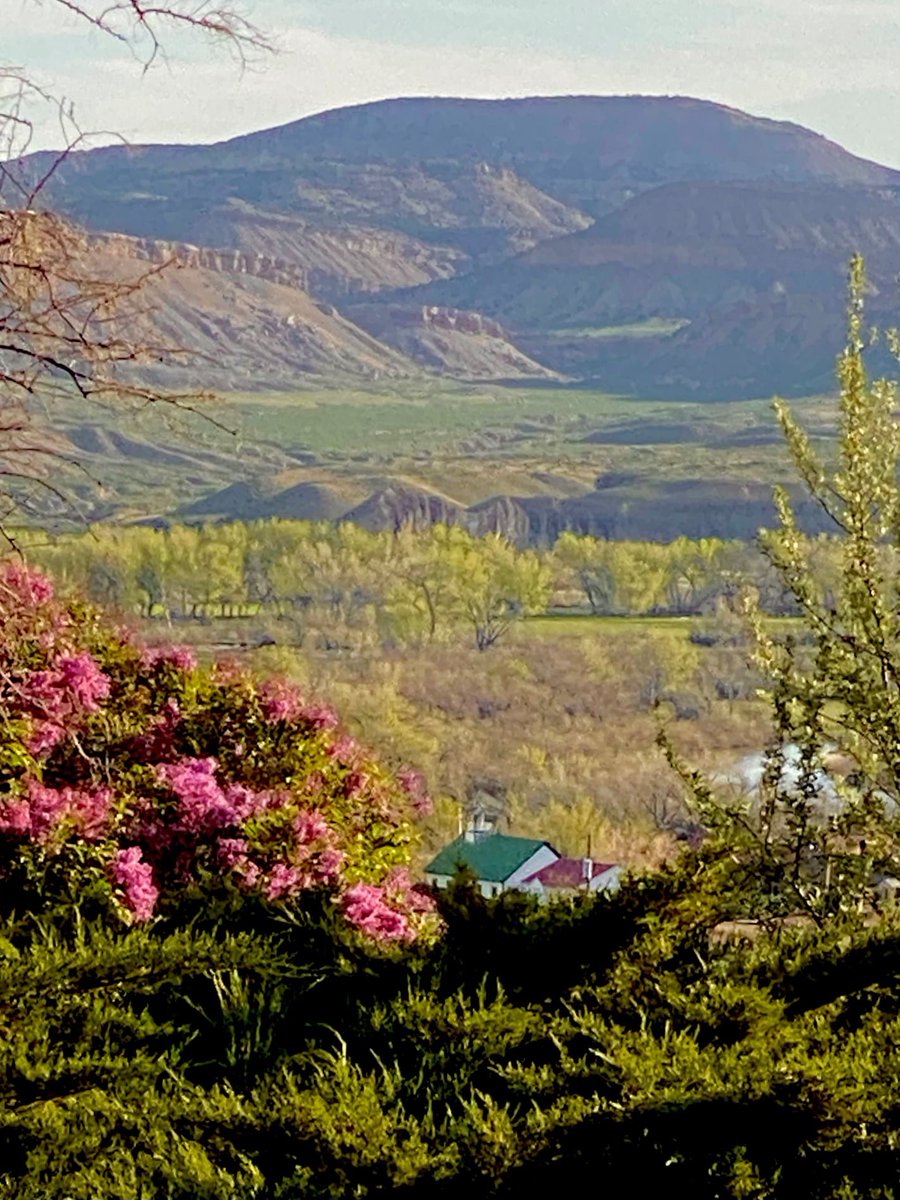 TownofRangelyCO's tweet photo. Just a #picturesque morning in #RangelyColorado! #TownOfRangely #WayOutsideOfOrdinary #SmallTownUSA #ThoseViews #Spring #Spring2022 https://t.co/E7PGbTpA0I