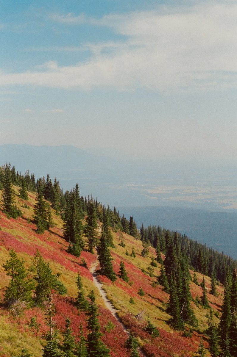 AlexKittoe's tweet photo. Seasons on film https://t.co/gm1ZJjbCW8