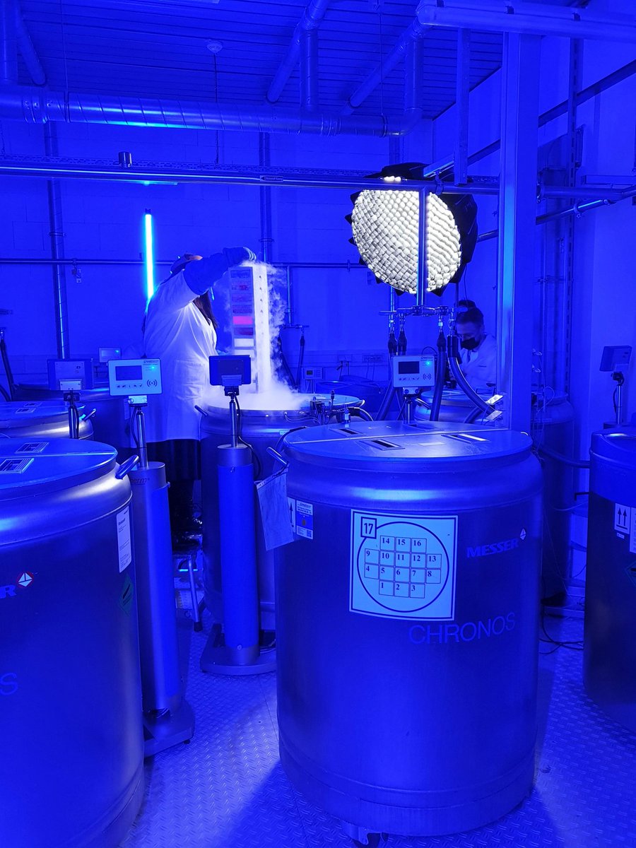 campusbuch's tweet photo. #Watch now: A Place of Infinite Facets. Our new #image #film has just been released. Start with us from 2023 in the #BerlinBioCube – our #biotech and #medtech start-up center. We would like to thank all people who participated in the making of this film. https://t.co/dCxmQfYP4F https://t.co/IltVfRy28F