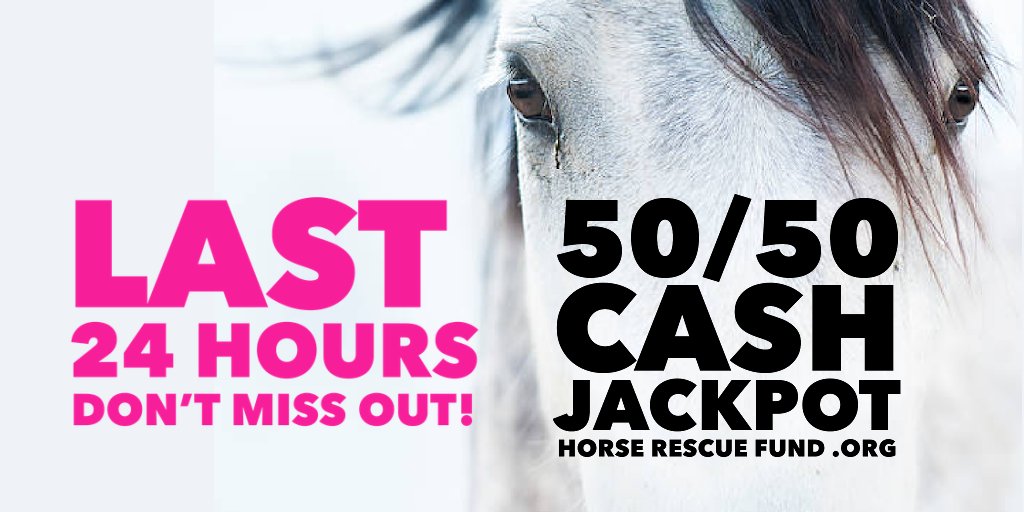 #Alberta peeps - don't miss out - 24 hours & counting to get your 50/50 Cash Raffle Jackpot tickets in support of @horse_fund  ==> horserescuefund.org <== 

#banhorseslaughter #horserescuefund #yes2safe #horses #horse #yyc @Marie_Bennett @KateDrummond_