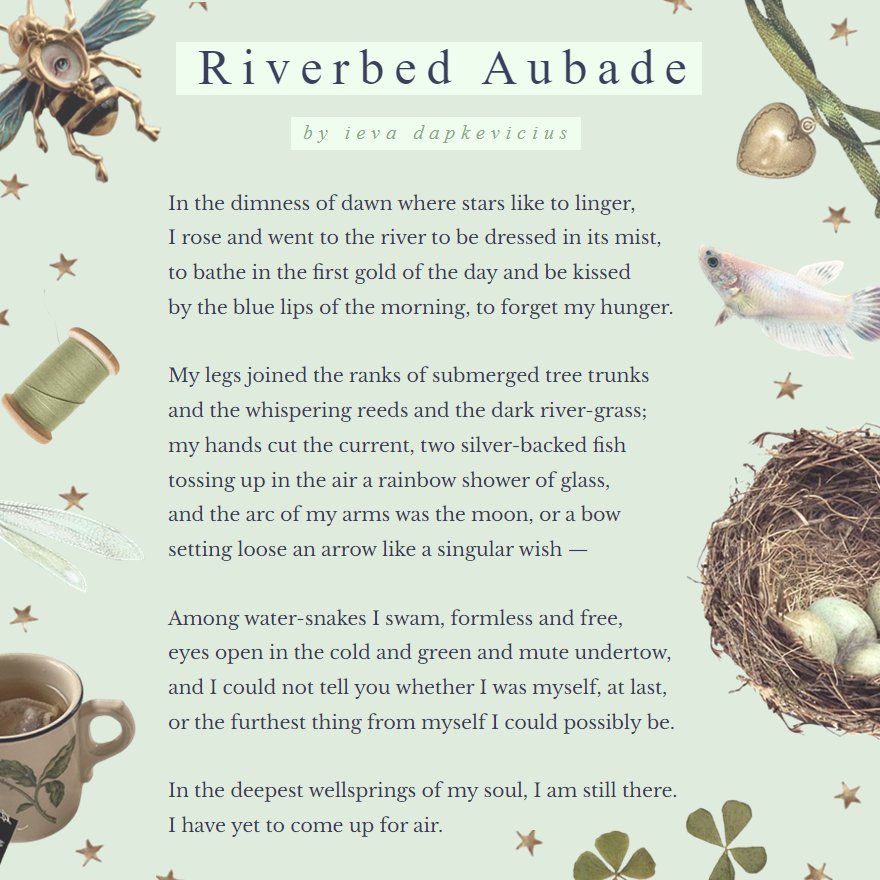 feytouchd's tweet photo. "riverbed aubade" out now with @madrigalpress 🌿 please check out this wonderful anniversary volume, it's bursting with cover-to-cover poetic magic!
https://t.co/LuV9OY560A https://t.co/rbiiK7b1NC