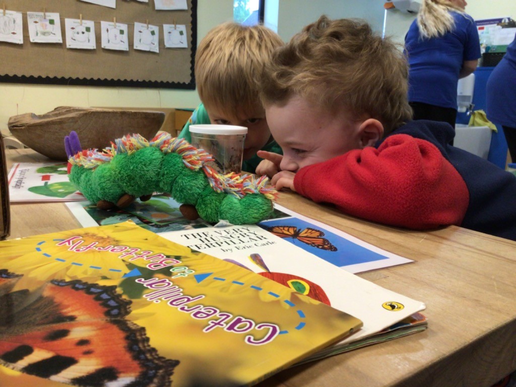 Bright Horizons Fair oak tweet media