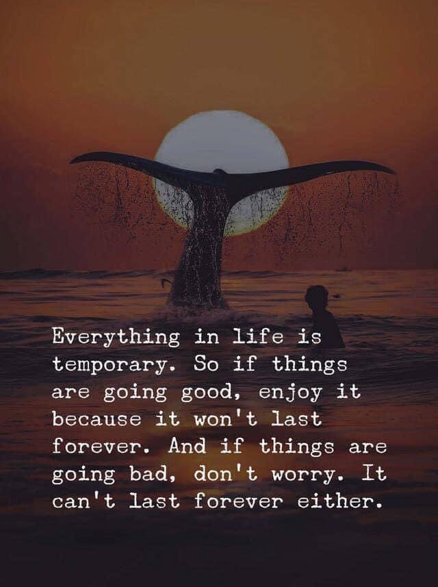 Keith_Canning's tweet photo. #mentalhealth #pma #anthonyjamesrec #ajr https://t.co/B1RkMjdzOW
