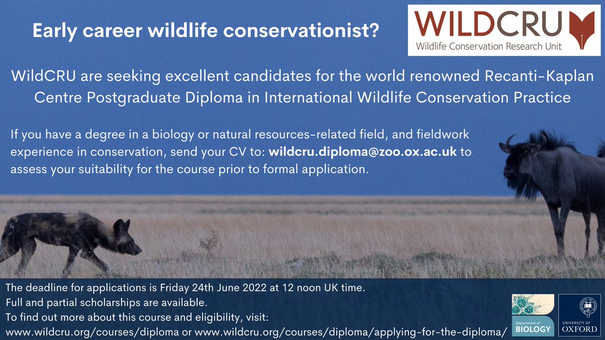 WildCRU_Ox's tweet photo. WildCRU's Postgraduate Diploma in International Wildlife Conservation Practice is open for 2023 applications!

Details about the call and further information on eligibility are available here 👇
https://t.co/yhMiGMRbbg

#wildcrudiploma @UniofOxford @OxfordConted @OxfordBiology https://t.co/CByBdkFNpp