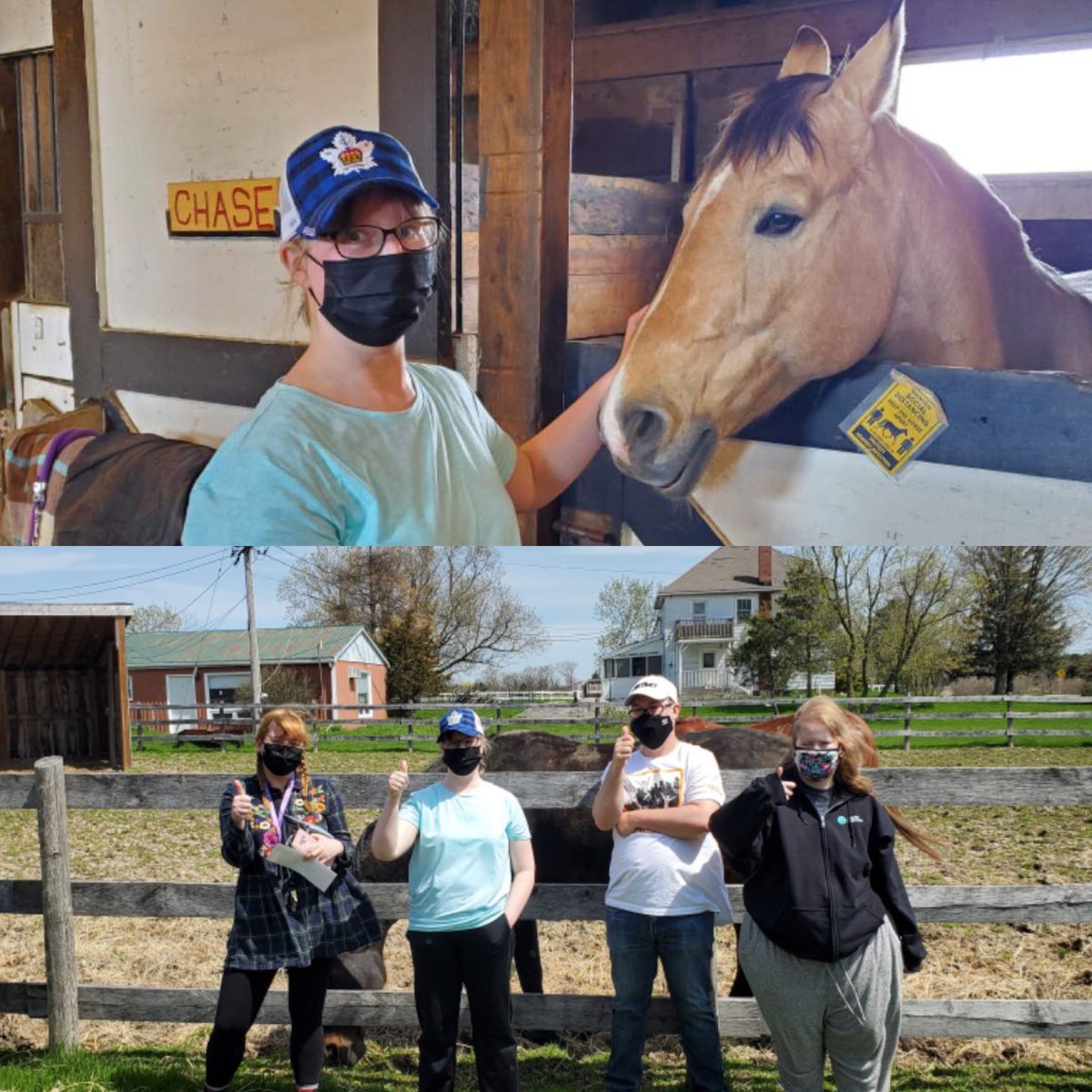 TEADStables's tweet photo. We had our @adultsinmotionoakville friends back yesterday! They helped us clean the out the paddocks and got in some snuggles with the horses. Thank you to our AIMazing friends for all of their hard work! We can't wait to have you back again soon. 💙 https://t.co/xwEzfV5LiY