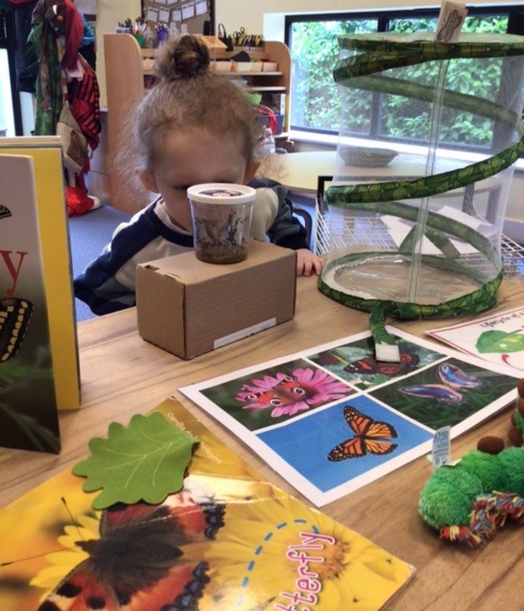 Bright Horizons Fair oak tweet media