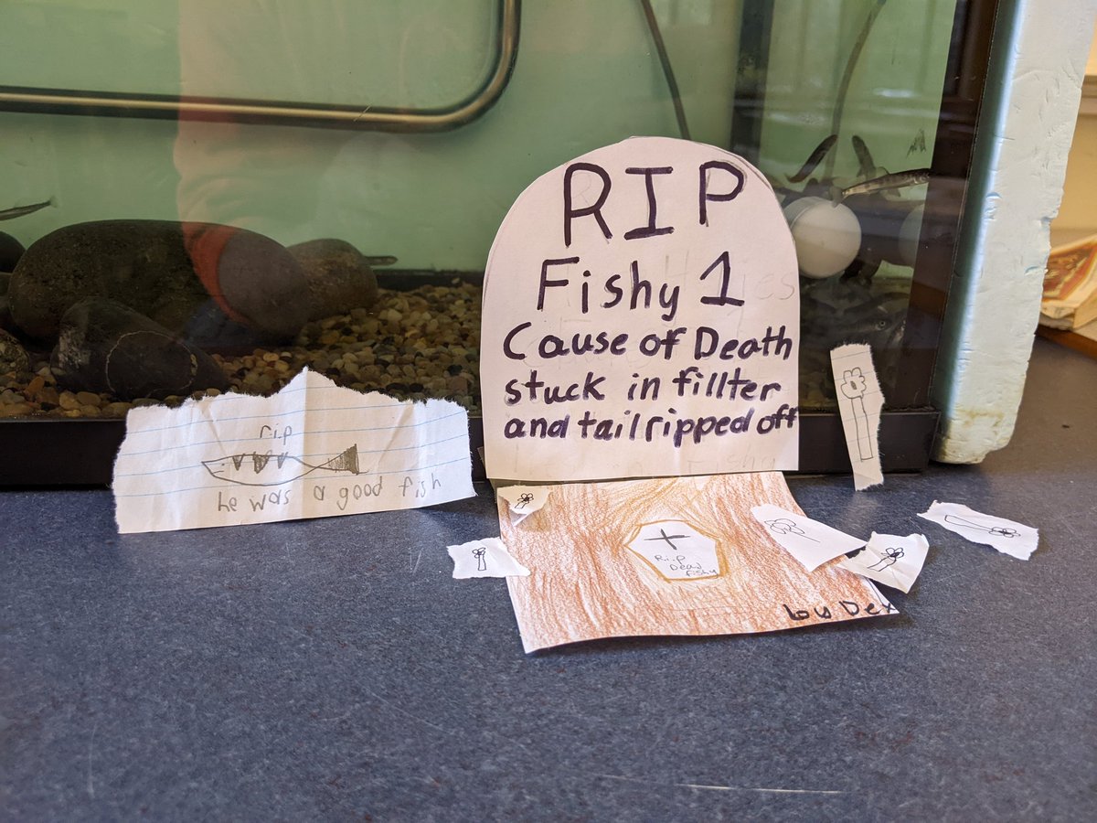 RupertGadd's tweet photo. A little shrine has sprung up at the fish tank. "He was a good fish."

#salmonintheclassroom #happyvalley https://t.co/V5I30X7CWJ