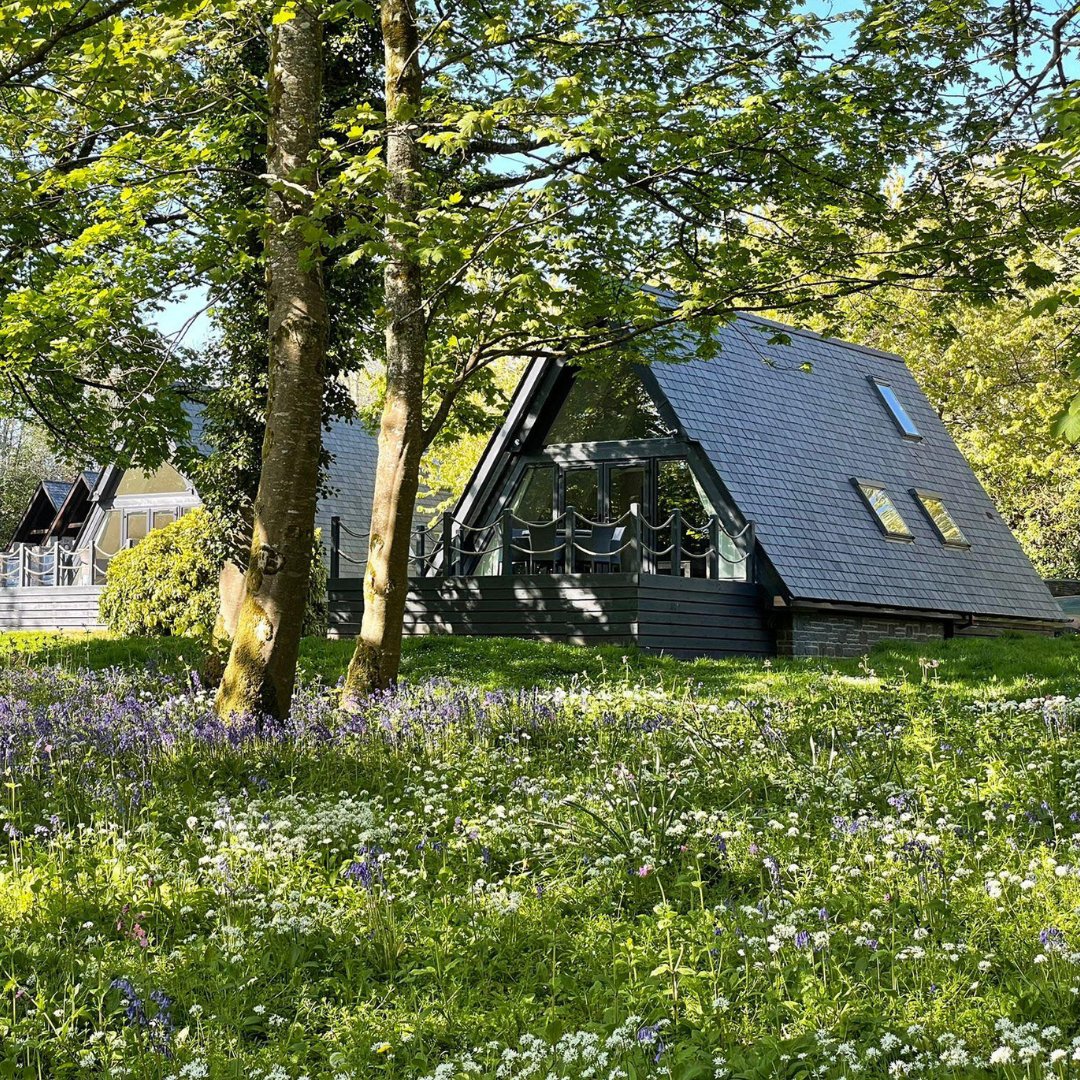 Luxury Lodges tweet media