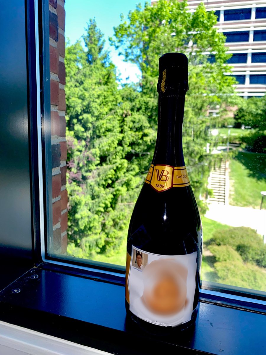 DoreenMatthies's tweet photo. Structural biologists all know what that means! Yes, we are celebrating the 3rd high-resolution membrane protein structure of the @DoreenMatthies lab solved by my extremely talented postdoc Louis @louistflai! Our first human MP! Congratulations! 🍾 🥂 https://t.co/VKySqRoIkU
