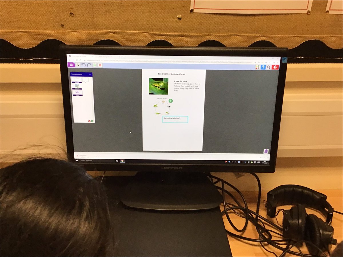 Sacred_Y5's tweet photo. In year 5 we are learning about varied lifecycles, and have been focusing on insects and amphibians. We also researched what metamorphosis means. #SH7Year5 #SH7Science https://t.co/Zrs8SKlxrV