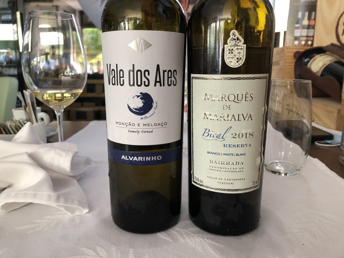 O Bical da Bairrada começou melhor mas, quando o Alvarinho abriu, voaram os dois. Belos brancos.