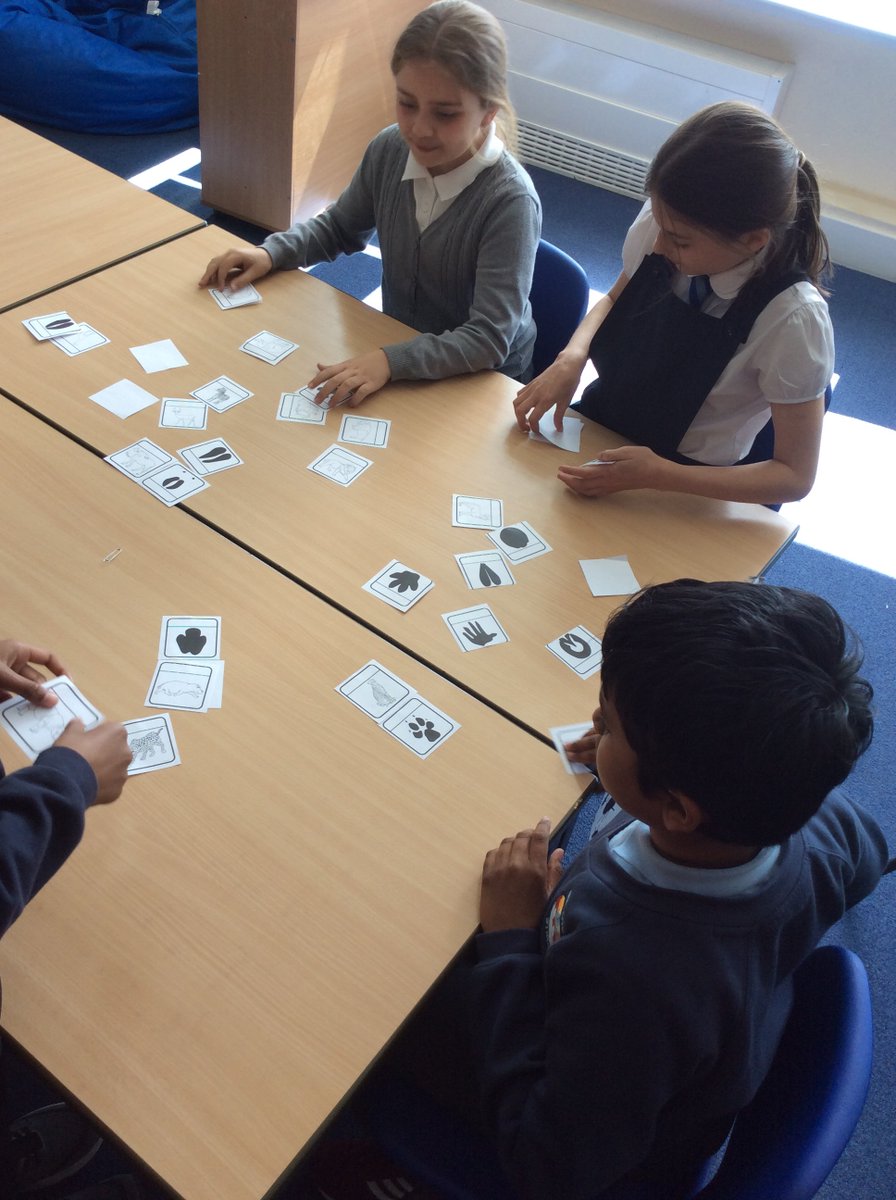 P5/6 Our Lady's Primary tweet media