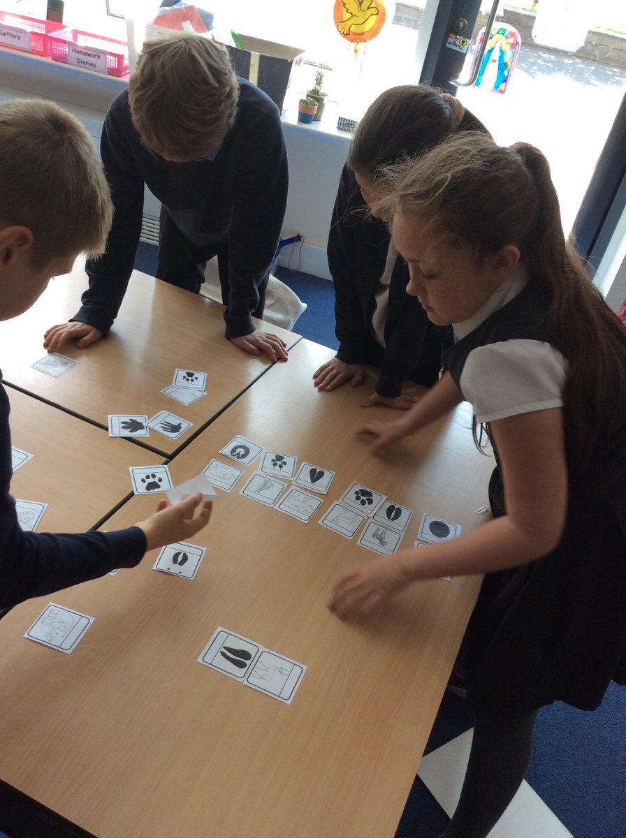 P5/6 Our Lady's Primary tweet media