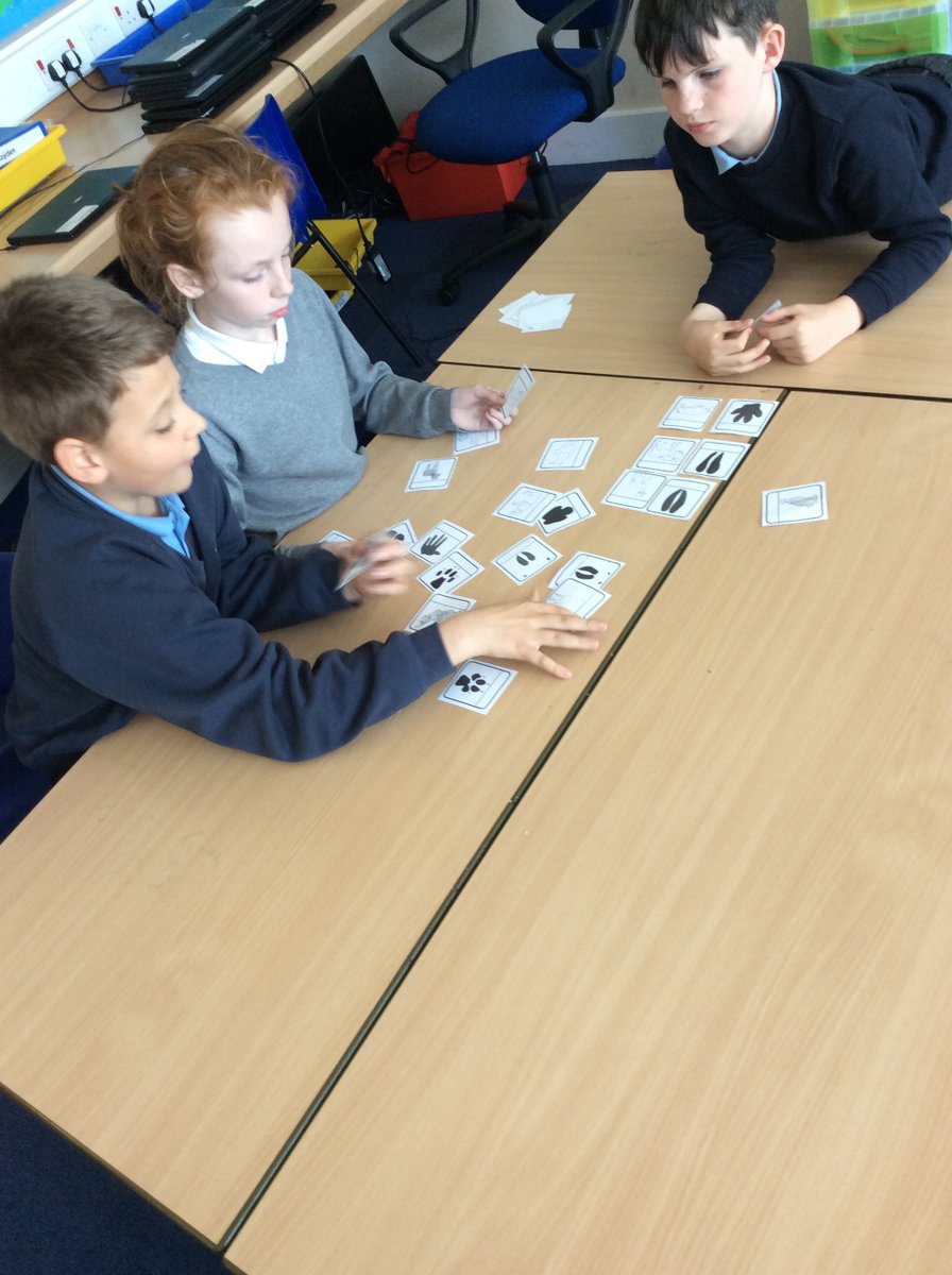 P5/6 Our Lady's Primary tweet media