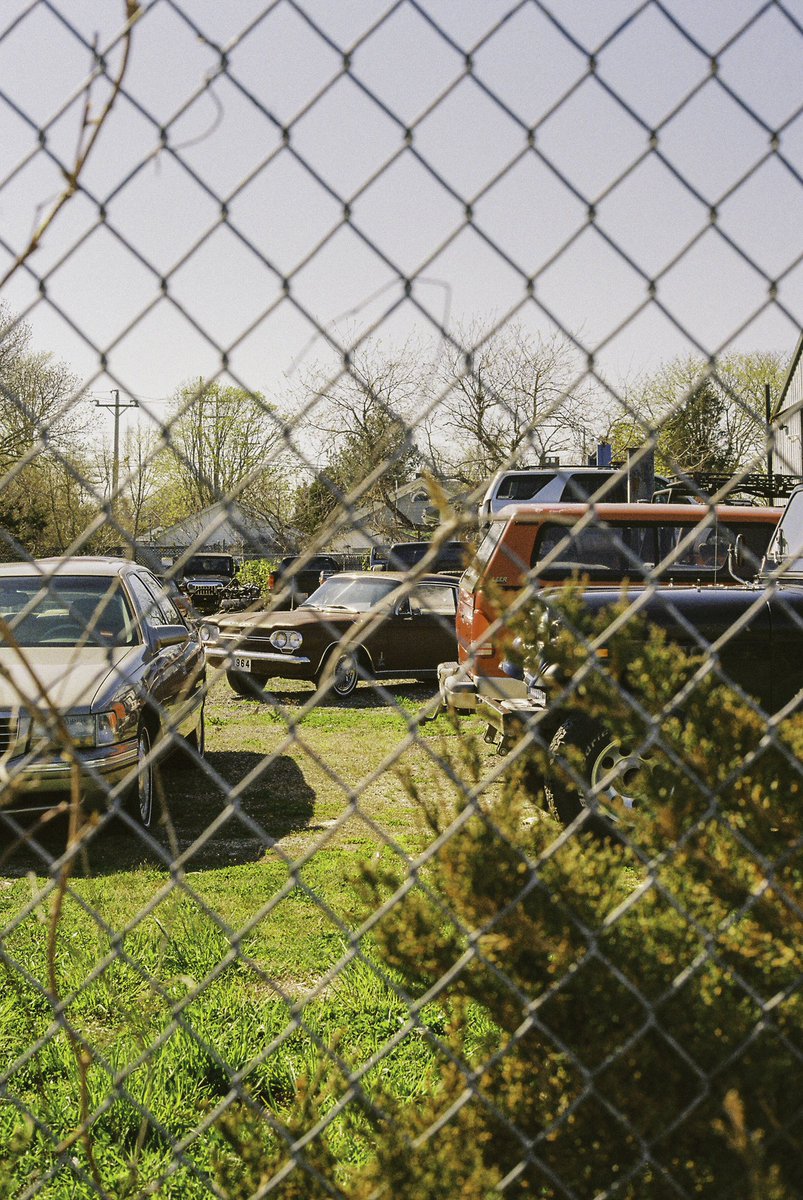 davidjmoriarty's tweet photo. dreams beyond the fence https://t.co/OTXADuksr2