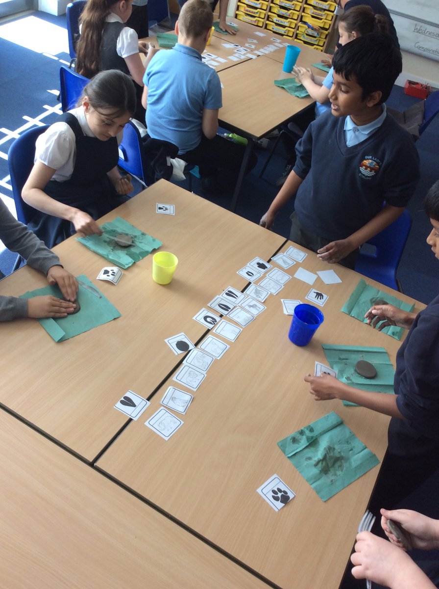 P5/6 Our Lady's Primary tweet media