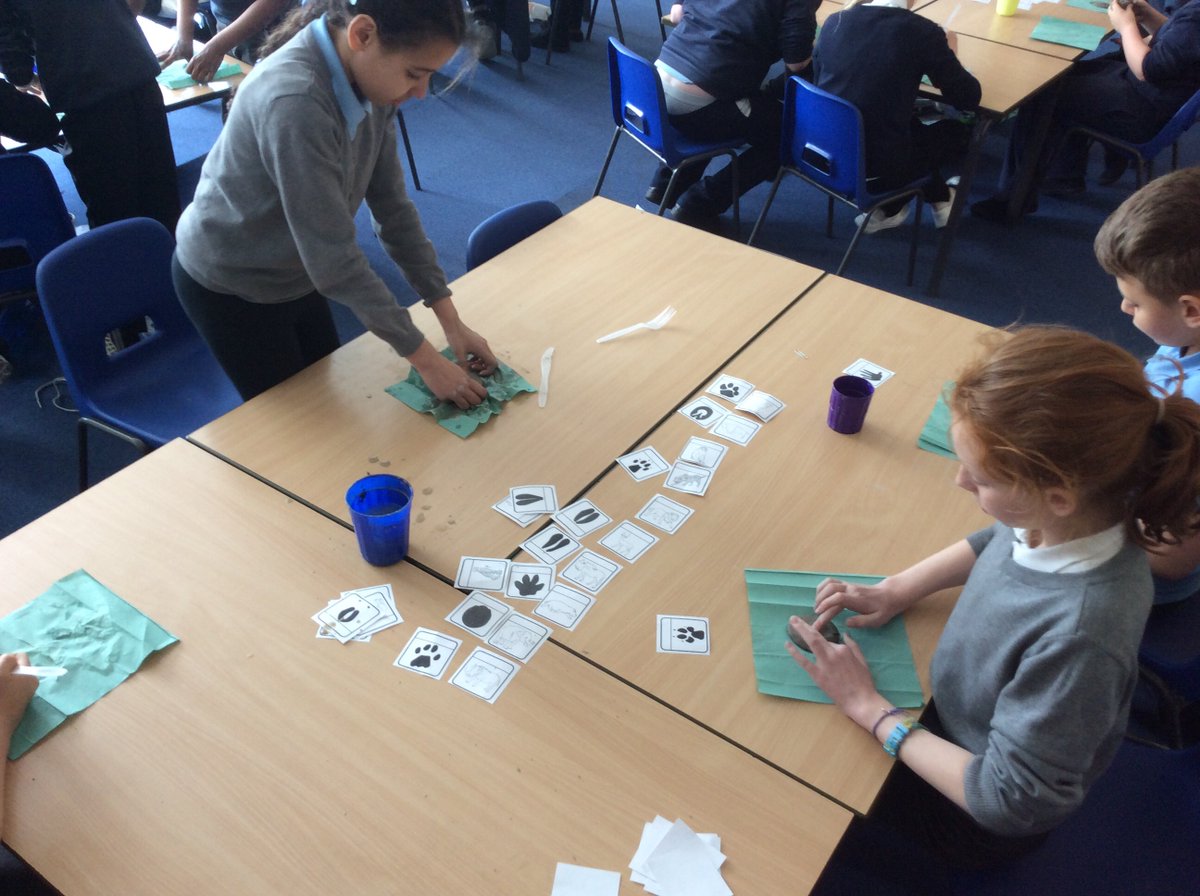 P5/6 Our Lady's Primary tweet media