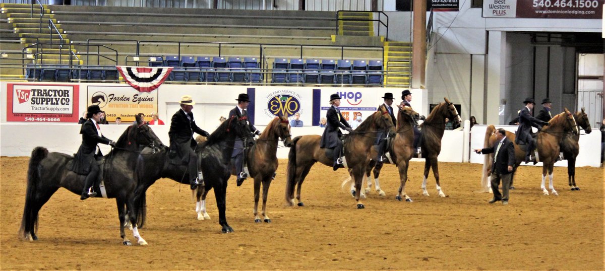 VaHorseCenter's tweet photo. Next up in #AmazingMay here at the VHC: The Bonnie Blue National kicks off today and runs through Saturday, May 14th. Good luck to all competitors!
#YOURVHC https://t.co/Pn7riMLOWO