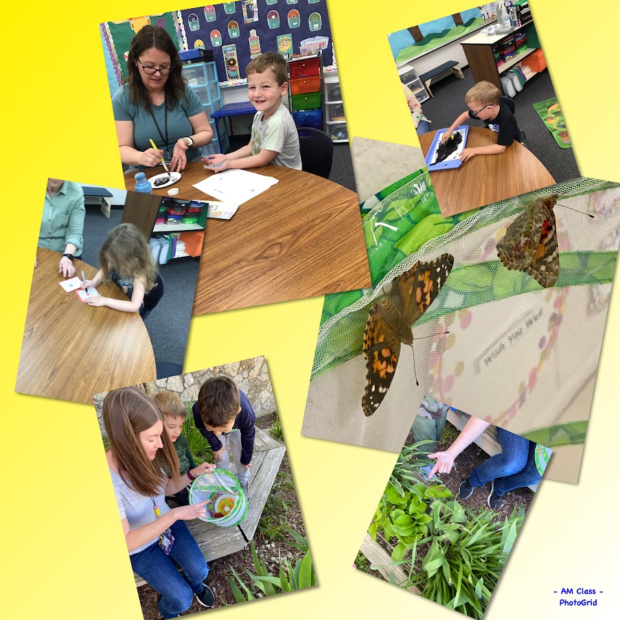MsRogersPreK's tweet photo. Last week's theme was Mother's Day, letter was X, and math skill was counting. Both classes got to help release our butterflies. Our afternoon class got to listen to a 2nd grade friend read to us. They loved listening to her read! #EHES https://t.co/cIwUybv7aR
